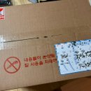 숨비떼플레르