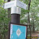 분당-335 이미지