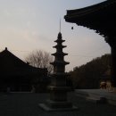 보명사 이미지