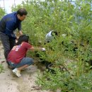 우리농원 이미지