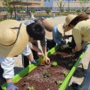 밀양아리솔학교 이미지