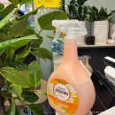 운정농장 | 운정역 셀프바 구성이 좋은 냉삼맛집 장터대패농장 파주운정점