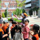 대봉초등학교 이미지