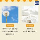 가을하늘 이미지