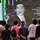 오렌지 꽃향기는 바람에 날리고 이미지