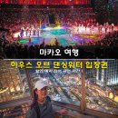 애코시티앤더하우스 | 마카오 워터쇼 마카오 하우스 오브 댄싱워터 입장권 할인 예약 좌석 공연 시간