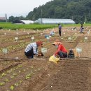 양수농장 이미지