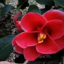 이화원(온실) 이미지