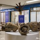 자연으로(의) 회귀 이미지