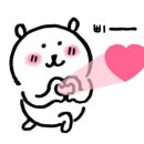 코타강쥐 이미지