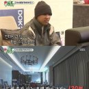 고양이 생활 호텔 이미지