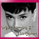 괴정4동-7 이미지