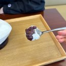 더설 | [잠실 팥빙수 맛집]디저트, 빙수 맛집 더설! 내돈내산 후기(Feat. 영업시간, 주차, 이용 꿀팁)