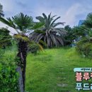 제주 자르뎅 이미지