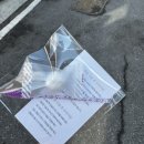 대구 중구 속눈썹펌 잘하는 &#39; 르엘드뷰티 대구점 &#39;