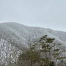 가구목장 | 2024.02 또 가고 싶은 겨울의 삼양목장 방문기
