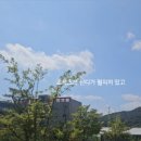 하빈한우