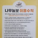 프라이빗하게 즐길 수 있는 나무늘보 키즈룸 명지점 내돈내산 후기