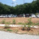 대영낚시터 이미지