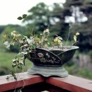 경선농장 이미지