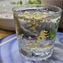 제주복어 이미지