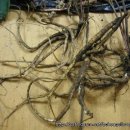 남부권 코스 이미지