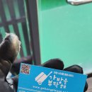 화순코사마트