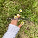 도곡1리 | [내돈내먹] 남양주 덕소맛집, 쌍용부부정육식당 솔직후기(육회 추천, 굽는 환경ㅠㅠ)