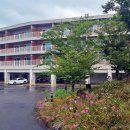 블랙스톤 이미지