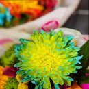 풀냄새꽃향기 이미지