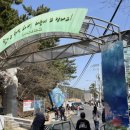 갯벌소리 | 인천 하나개 해수욕장 / 포내 갯벌 체험 후기!!