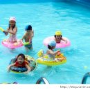 비슬리조트 이미지