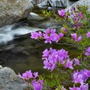 서일농장2 이미지