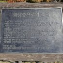 숲에반하다