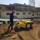 용문초병설유치원 이미지