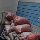 백마자원 이미지