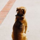 가온동물병원 이미지