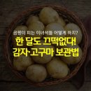 고구마 감자 오래보관법 이미지