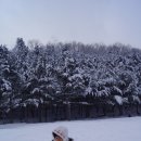 상당산성 이미지