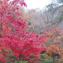 요한복음 16 장8절~그가 와서 죄에 대하여 의에 대하여 심판에 대하여 세상을 책망하시리라. 이미지