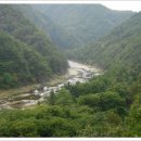 왕피천생태탐방로 이미지