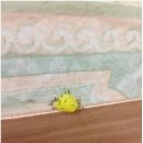단성우리약국 | 개미약 퇴치는 페스트세븐으로 극뽁!!해보세요!