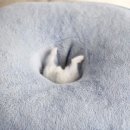 마니본영상