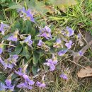 풍수부동산중개사무소 이미지