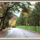 삼화초등학교 이미지