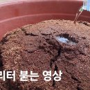 코코피트 테스트 이미지