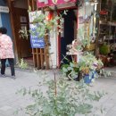 경인문고주 이미지