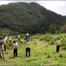 신원해운(주) 이미지