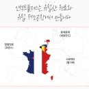 엉클펫 | 우리 아이 알러지&amp;비만 해결!! 프리미엄사료 &#34;엉클홈 인섹트플러스&#34;