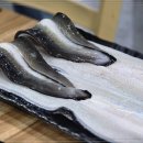 금빛장어 이미지